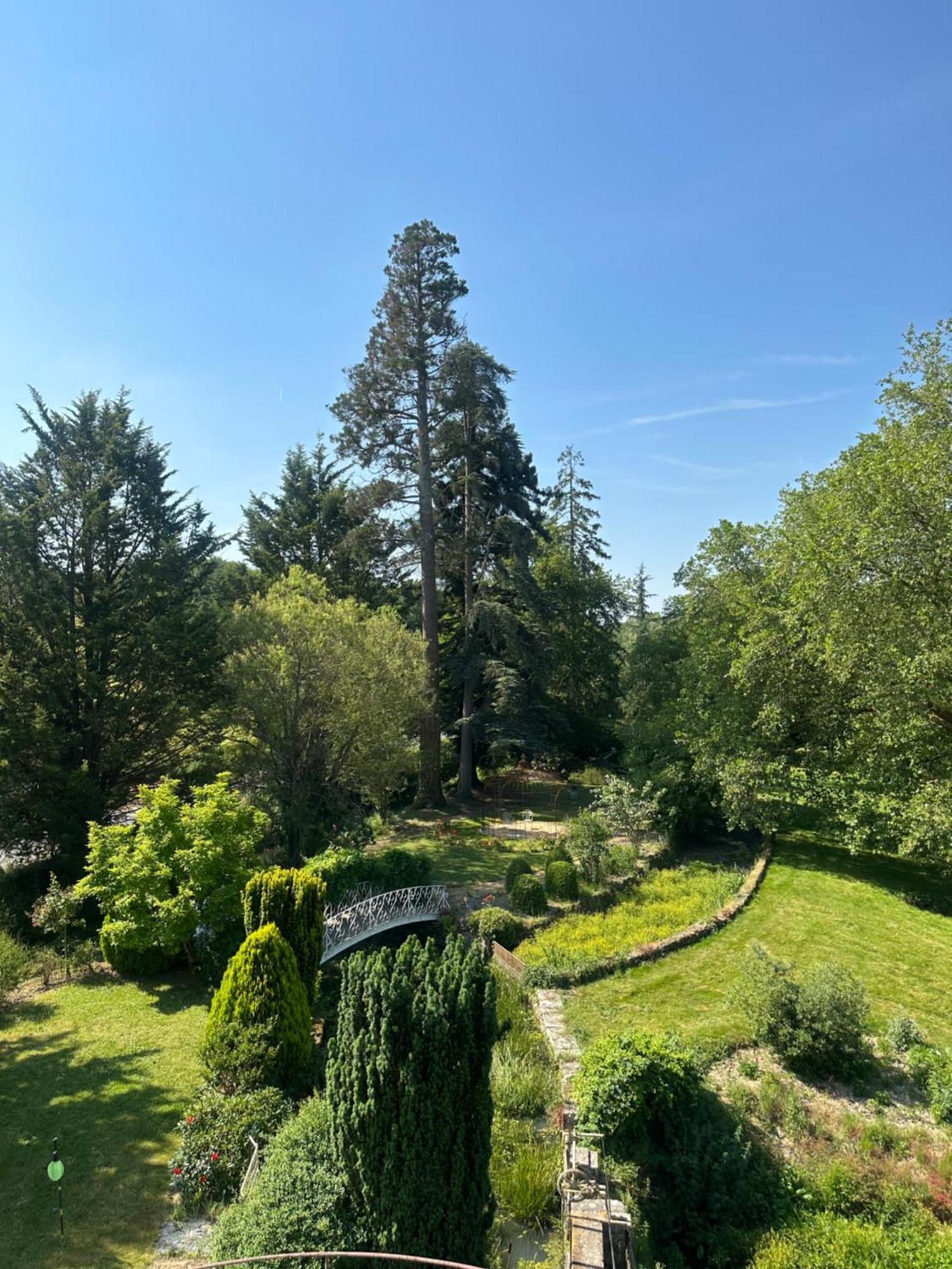 Bed and Breakfast Le Moulin De Francueil Экстерьер фото