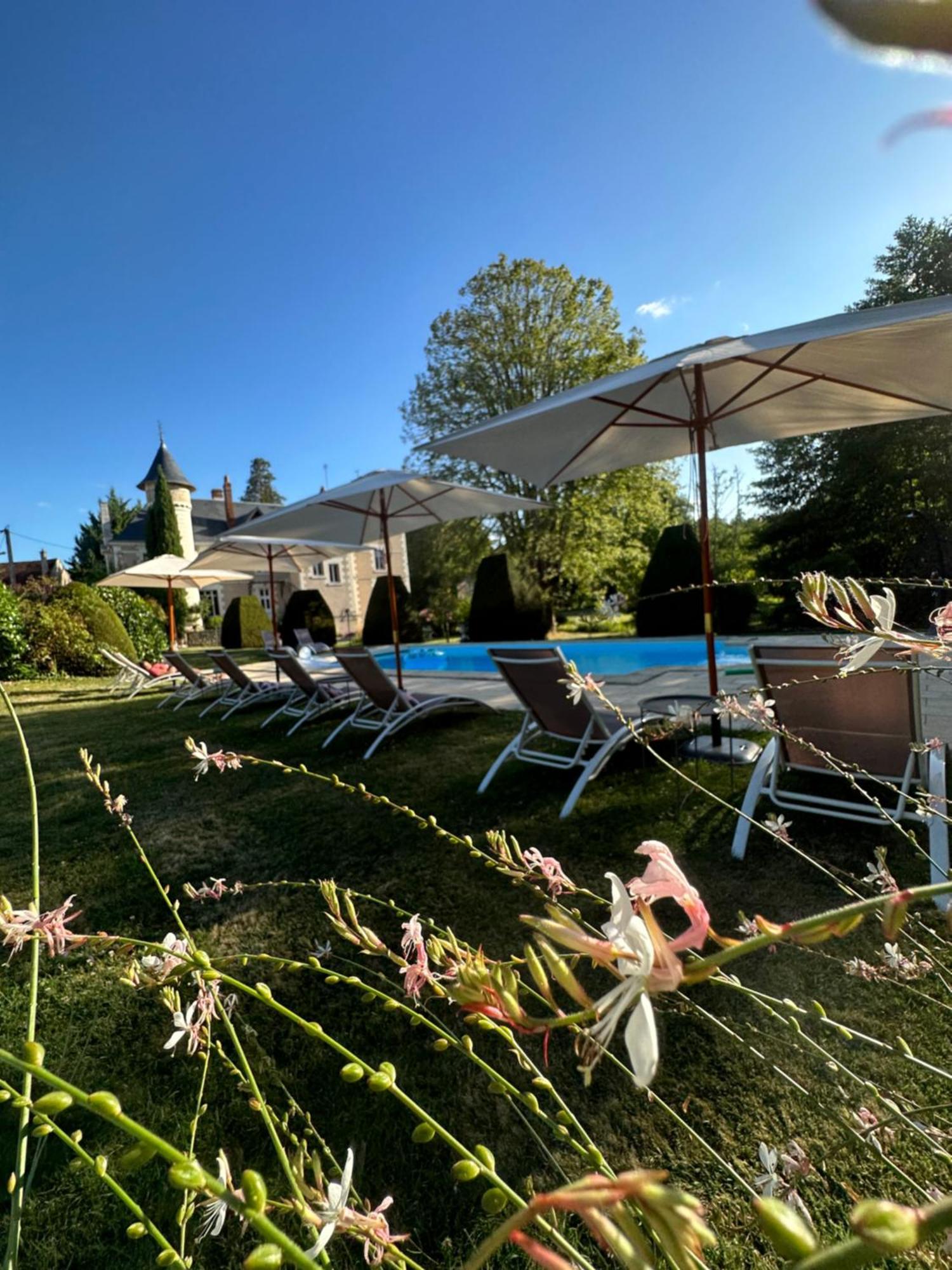 Bed and Breakfast Le Moulin De Francueil Экстерьер фото